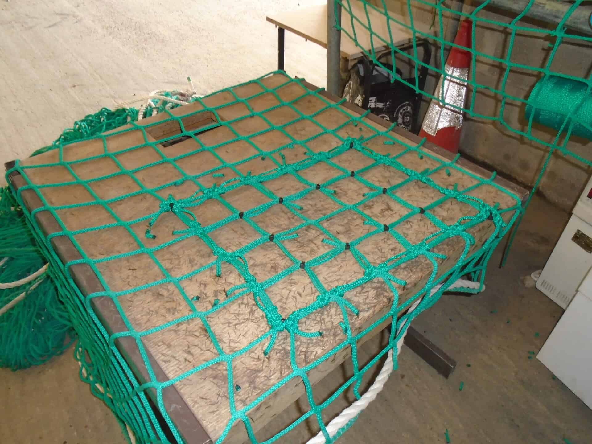 Safety net repaired by a FASET-trained repair operative